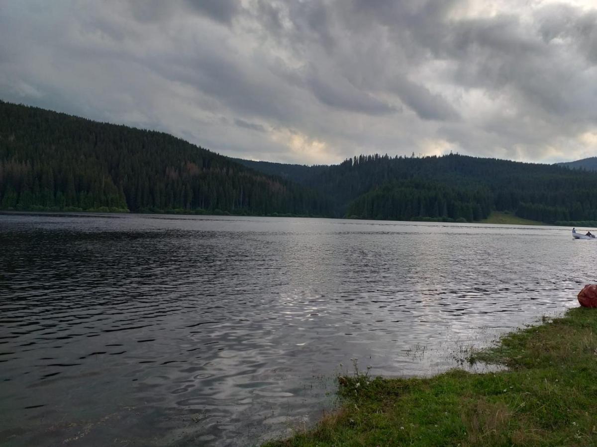Pensiunea Floare De Colt Beliş Dış mekan fotoğraf